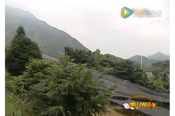 浙江电视台7《套新山海经》报道三叶青农科