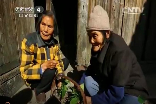 《中华医药》20150220冬令进补（二）调理脾胃 百病不生